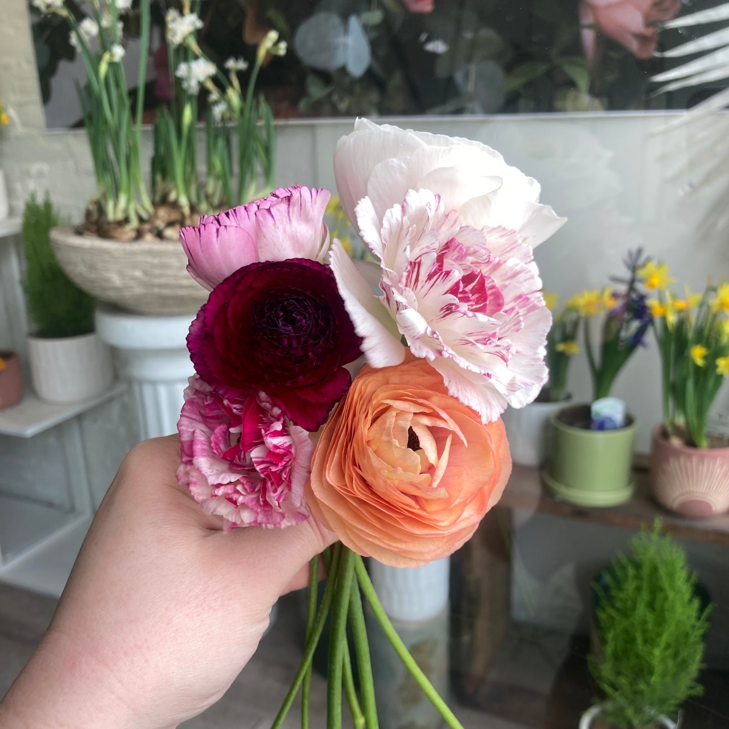 Ranunculus bunch