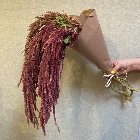 Dried Amaranth bunch