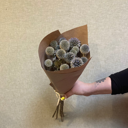 Dried Echinops bunch