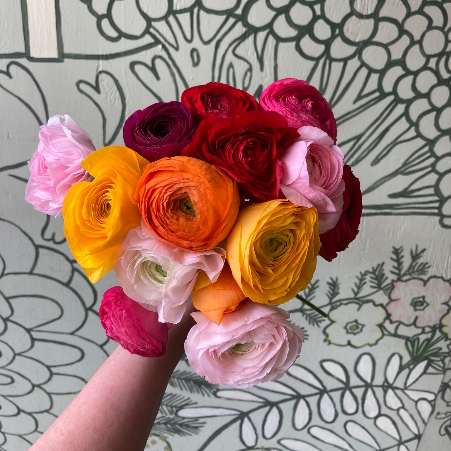 Ranunculus bunch