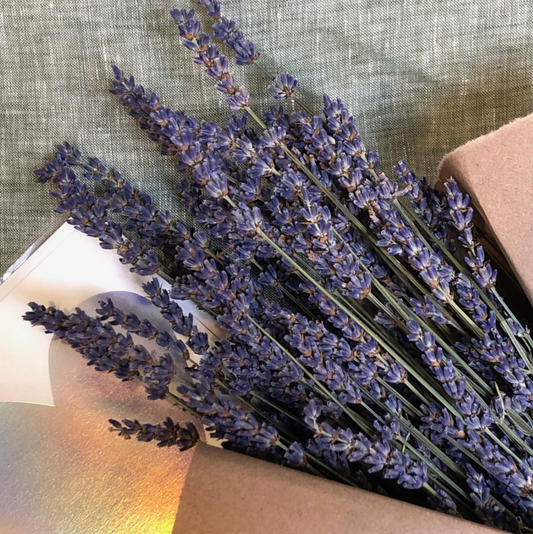 Dried Lavender Bundle